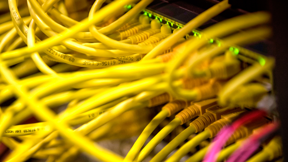 Viele gelbe Kabel nebeneinander in einem Serverraum